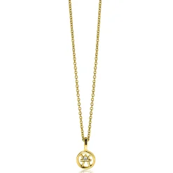 9mm ZINZI gold plated zilveren Vis sterrenbeeldhanger bezet met witte zirconia ZIHY-VIS (zonder collier)