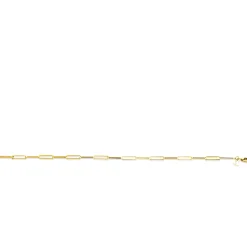 ZINZI Gold 14 krt gouden armband met trendy paperclip/closed for ever schakels 3mm breed, lengte 19cm ZGA386