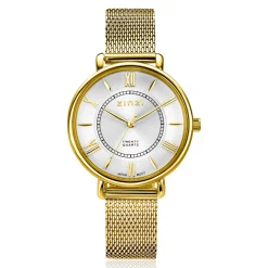 ZINZI Twenty horloge met zilverkleurige wijzerplaat, geelgoudkleurige kast 34mm en stalen meshband ZIW2033
