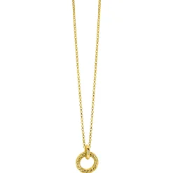 ZINZI zilveren hanger extra 14K geel verguld rond met touweffect 19mm ZIH2246G (zonder collier)