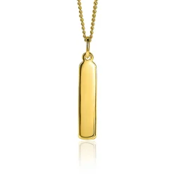 ZINZI zilveren hanger 14K geel verguld 32mm langwerpige plaat ZIH2213G (zonder collier)