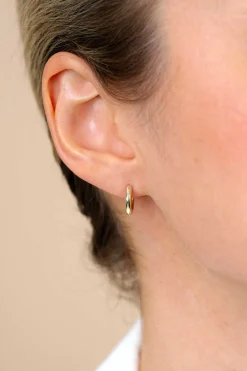 ZINZI zilveren oorringen geel verguld 12 x 2mm ZIO194G
