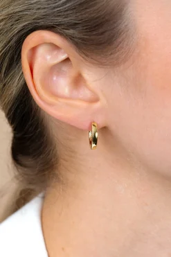 ZINZI zilveren oorringen geel verguld 15 x 3mm ZIO191G