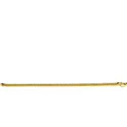 ZINZI zilveren schakelarmband geel verguld vossenstaart 2.5mm breed 19cm ZIA1287G